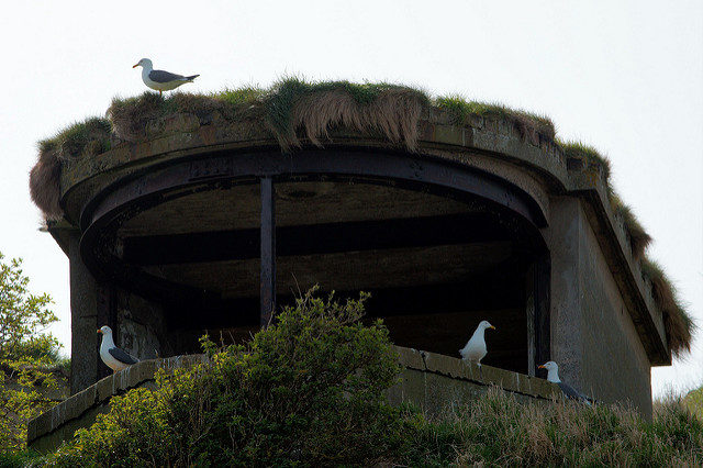A world war two fortification. Author: Magnus Hagdorn CC BY-SA 2.0