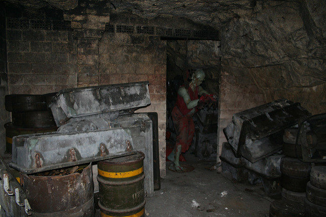 Another scene from underground life. Author: Jon’s pics CC BY 2.0