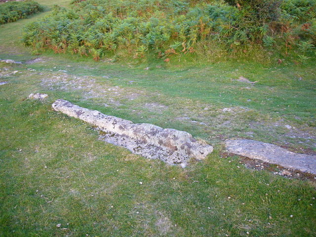 Close-up of the track. Author: Herby talk thyme CC BY-SA 3.0