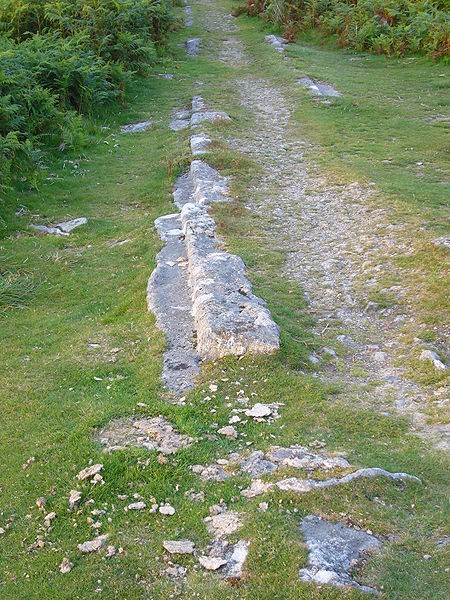 Close-up of the track. Author: Herby talk thyme CC BY-SA 3.0