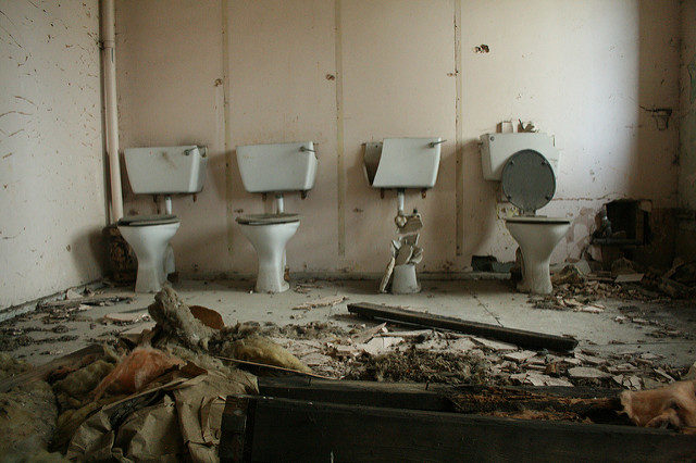 Number three had an accident. Author: Olga Pavlovsky CC BY 2.0