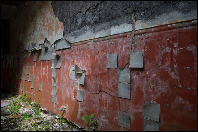 One of the many peeling walls. Author: LulaTaHula CC BY-ND 2.0