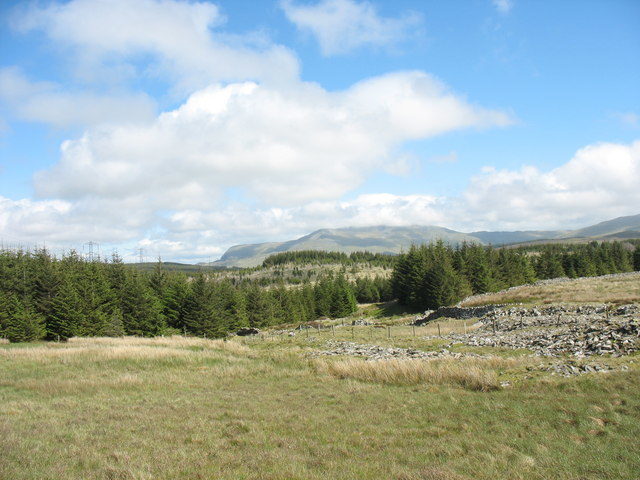 The moorland-forest close to the quarry. Author: Eric Jones CC BY-SA 2.0