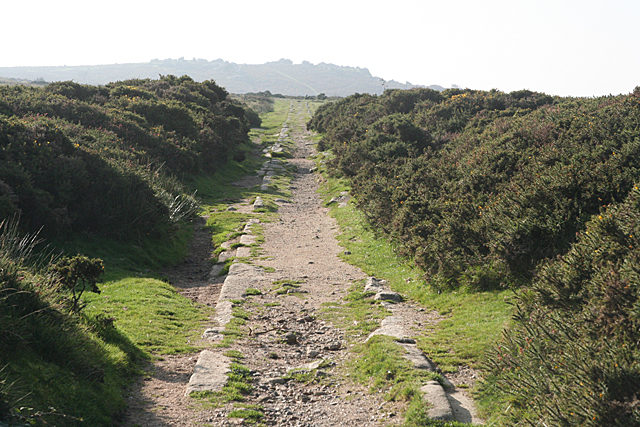 The tracks towards Holwell Tor. Author: Martin Bodman CC BY-SA 2.0