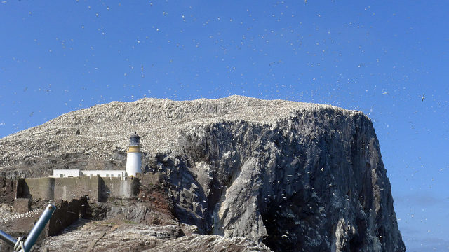 Thousands of birds circling the island. Author: gordon.milligan CC BY 2.0