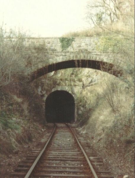 Tidenham Tunnel in 1980. Author: Bill Blair CC BY-SA 2.0