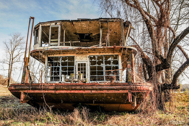 Torn apart by scrapes. Author: Michael McCarthy CC BY-ND 2.0