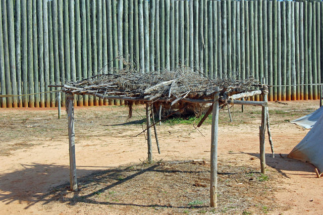 A shelter for those that didn’t have a tent. Author: Judson McCranie CC BY-SA 3.0