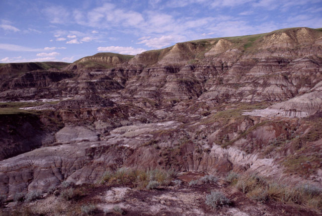 Drumheller Drylands. Author: Anomity CC BY-SA 3.0