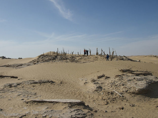 Niya ruins; alternative view. Author: Vic Swift CC BY-SA 1.0