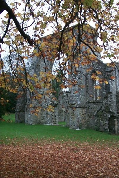 Part of the ruinated abbey. Author: David Mainwood CC BY-SA 2.0