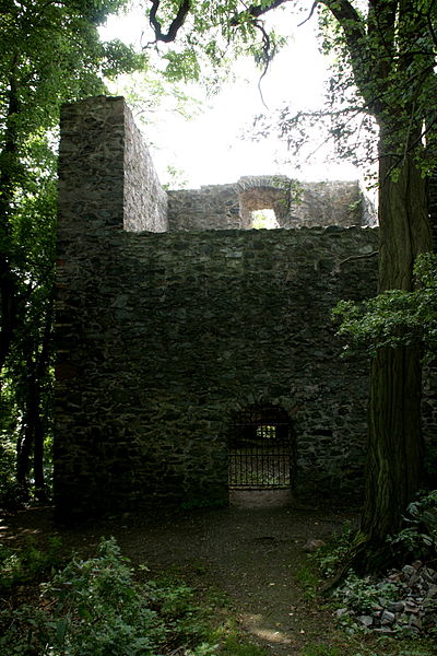 Ruins of Frankenstein Castle; alternative view. Author: Frank Vincentz CC BY-SA 3.0