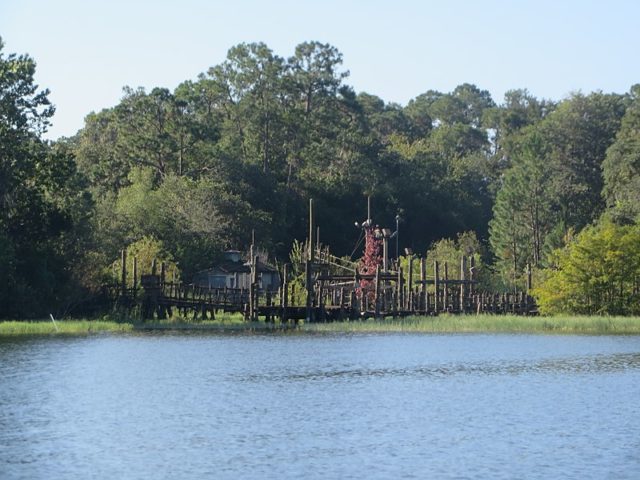 The abandoned Disney’s River Country. Author: Quarax CC BY-SA 4.0