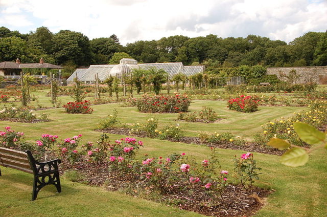 The Glasshouse. Author: Dietrich CC BY-SA 3.0