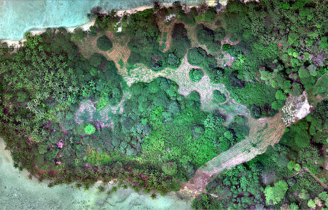 Natural Color (RGB) image of Palmyra Atoll – Author: USGS Unmanned Aircraft Systems – CC BY 2.0