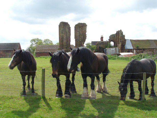 Some of the ruins were incorporated in the farm buildings. Author: Lorraine Wheale – CC BY-SA 2.0