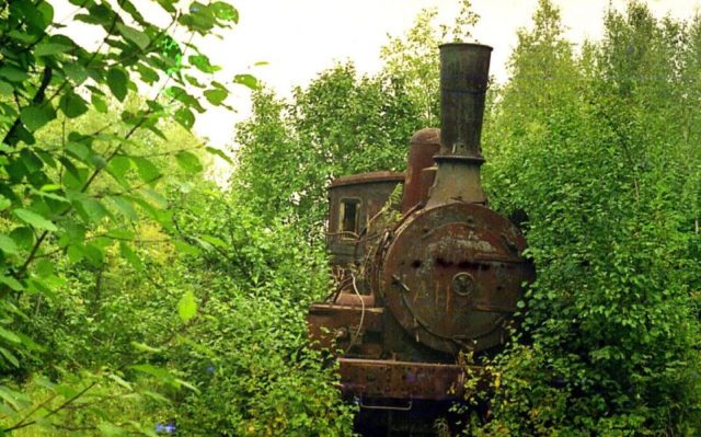The forgotten locomotive. Author: Сергей Метик CC BY 3.0