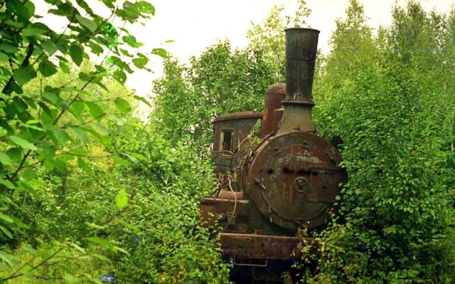 The forgotten locomotive. Author: Сергей Метик CC BY 3.0