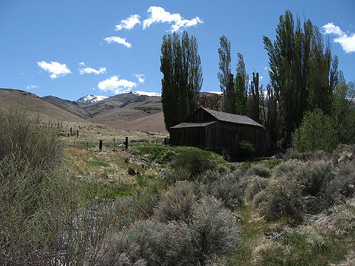 Twain’s Cabin in Unionville, Nevada – Author: Ken Lund – CC BY 2.0