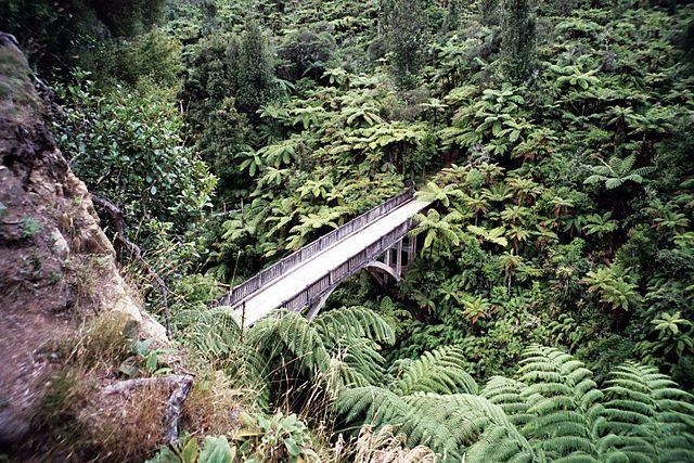 The bridge is constructed over Maungaparua Stream in New Zealand. Author: Joerg Mueller – CC BY 2.5