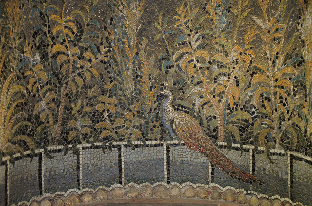 Mosaic niche from Baiae with garden scene, a peacock on a fence with other birds and leafy plants, 1st century – Author: Carole Raddato – CC BY 2.0