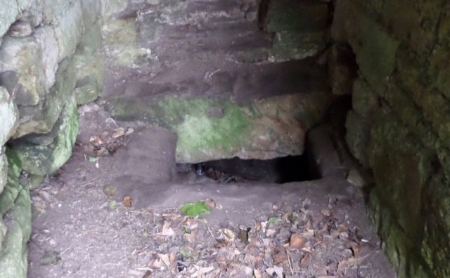 The starving pit. Author: Rosser1954 – CC BY-SA 4.0