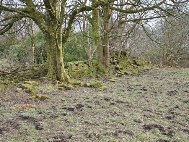 Where the garden once stood. Author: Rosser1954 – CC BY-SA 4.0