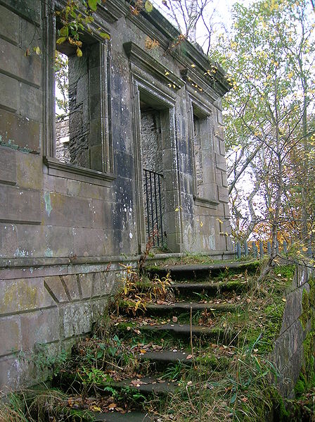 Part of the surviving steps. Author: Rosser1954