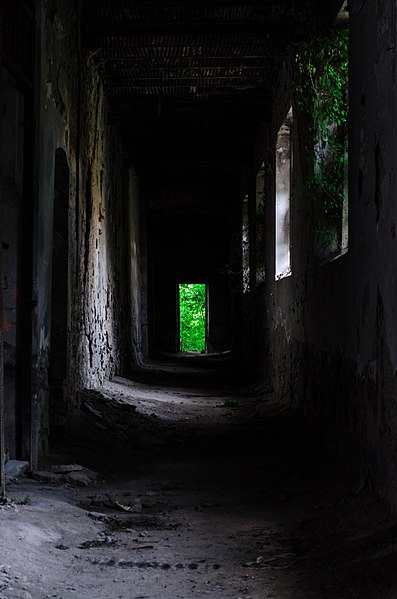 One of the hallways. Author: Daria Virbanescu CC BY-SA 4.0