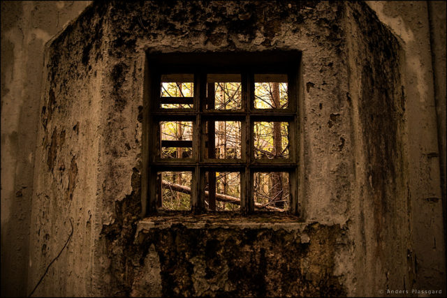 Author: Anders Plassgard | Flickr @plassgard