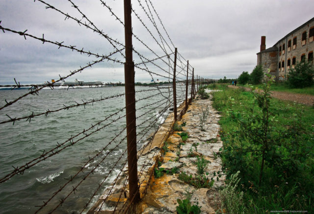 Baltic sea. Author: Alexey Grachev | LiveJournal @alexdoomer2009