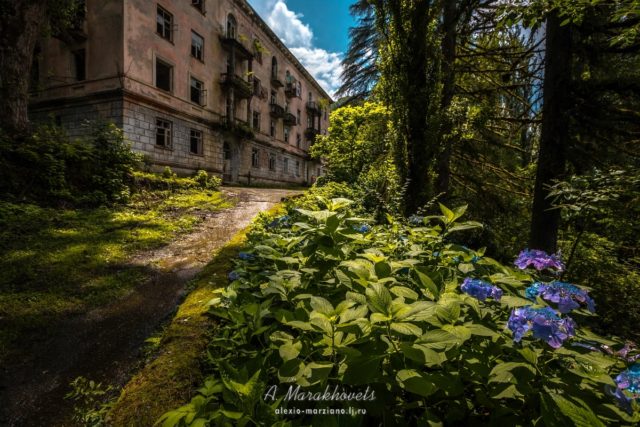 Author: Marakhovets Alexey – LiveJournal @alexio-marziano