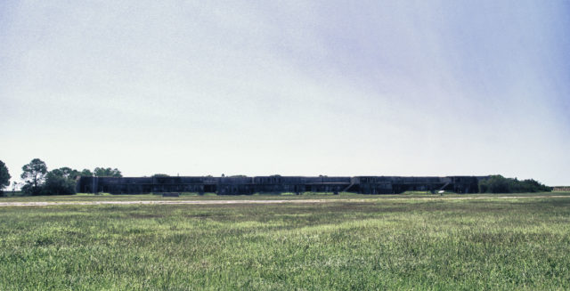 Author: Naaman Fletcher – Flickr @naamanfletcher
