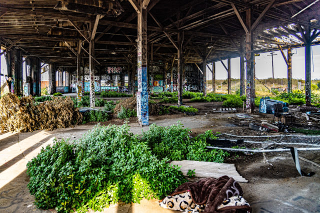 Author: Jim Maurer – Flickr @schaffner