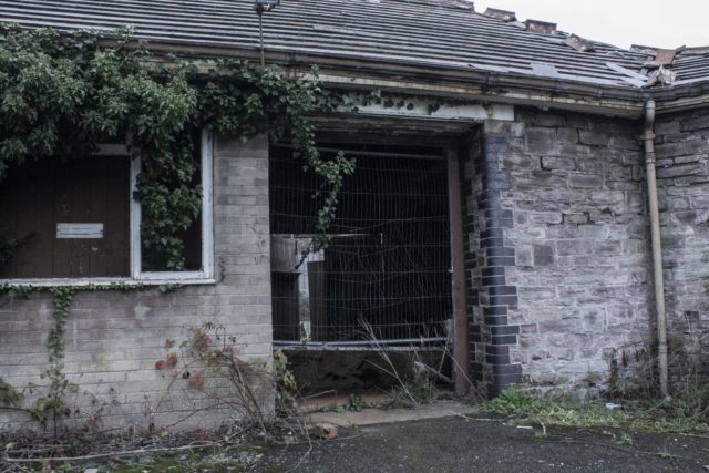 Author: Olivia Shepherd – os-photography.co.uk