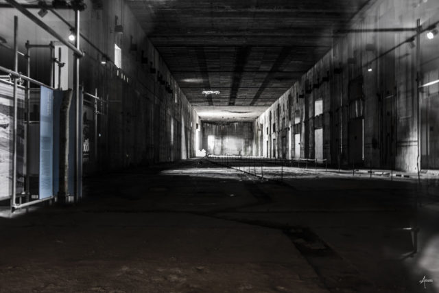 By Almer Steegstra, Flickr @almersteegstra