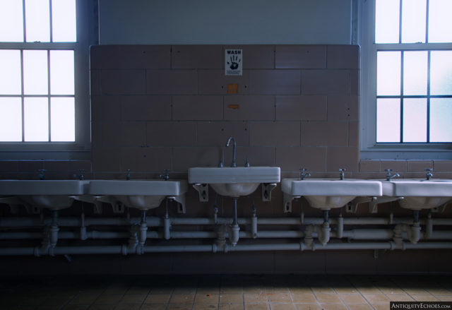 A row of sinks along the wall
