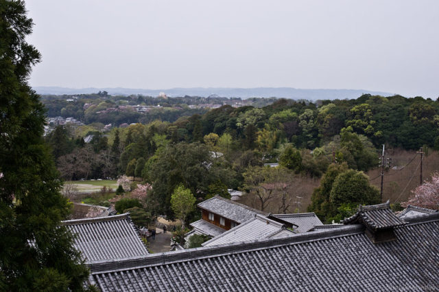 View of Nara City from the rooftop