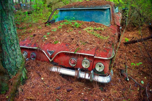 Red Chevrolet covered in brown pine needles at Old Car City