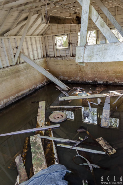 Debris floating in water within an abandoned building