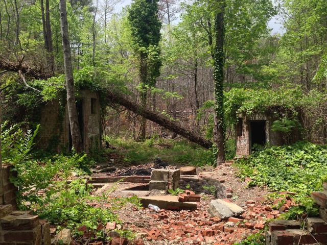 Ruins of Corpsewood Manor