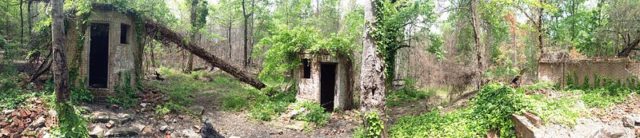 Ruins of Corpsewood Manor