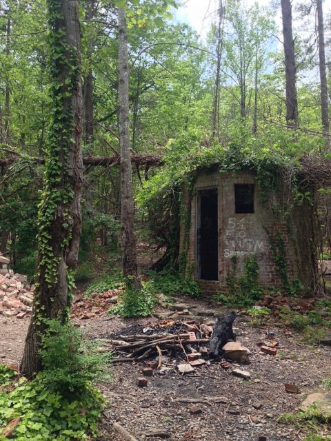 Ruins of Corpsewood Manor