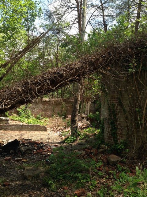 Ruins of Corpsewood Manor