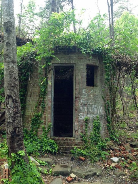 Ruins of the Corpsewood Manor