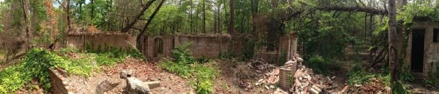 Ruins of the Corpsewood Manor