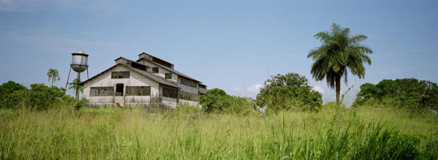 Exterior of Fordlândia's warehouse in tall grass