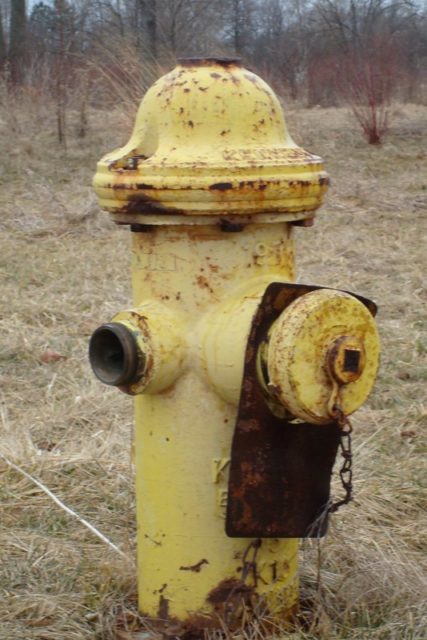 Rusty yellow fire hydrant