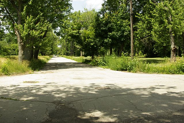 Street in Love Canal