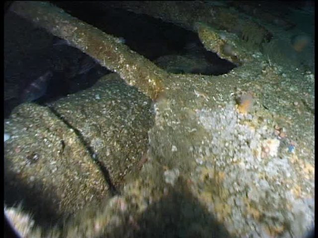 Steel torpedo tube – sign of a late war U-boat (Innes McCartney).